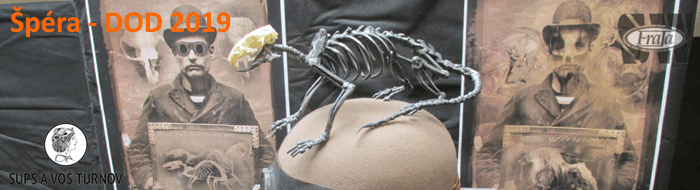 STŘEDNÍ UMĚLECKOPRŮMYSLOVÁ ŠKOLA A VYŠŠÍ ODBORNÁ ŠKOLA, TURNOV -DOD 2019