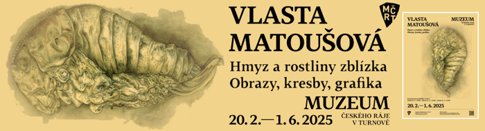 Muzeum Českého ráje v Turnově – Hmyz - Vlasta Matoušová – Hmyz a rostliny zblízka. Obrazy, kresby, grafika