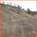Šachov u Borohrádku