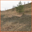 Šachov u Borohrádku