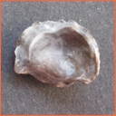 Šachov u Borohrádku