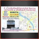 1. Českobudějovická  burza nerostů a drahých kamenů.
