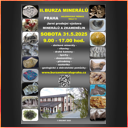 PRAHA Holešovická tržnice 31.5.2025