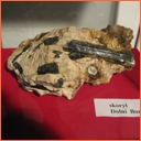 Bystřice nad Perštejnem - Městské muzeum Bystřice nad Perštejnem