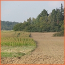 Bochovice