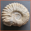 Listopad